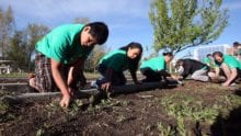 Comcast Cares Day – Register to Volunteer!